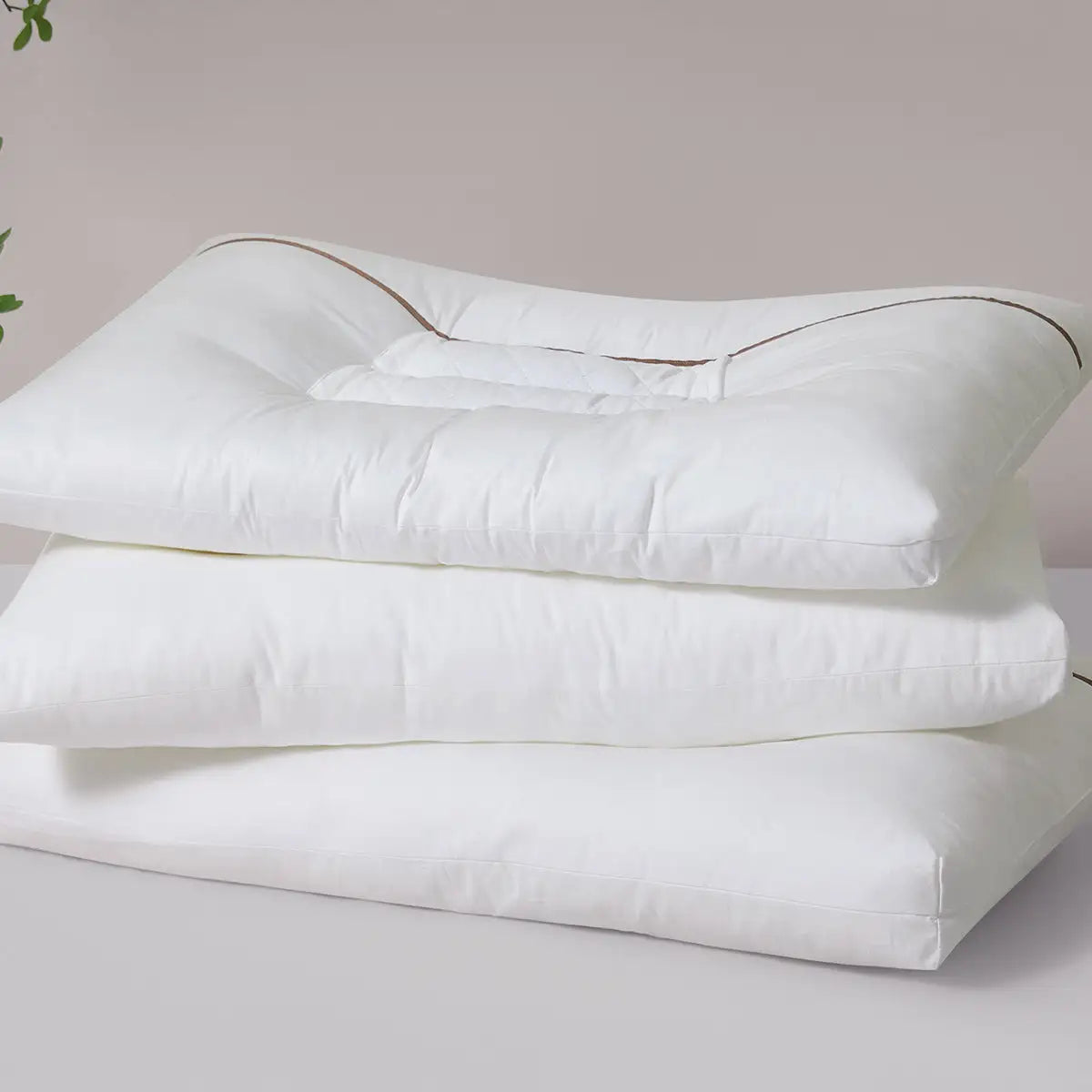 Cassia Seed Herbal Cervical Neck Support Pillow